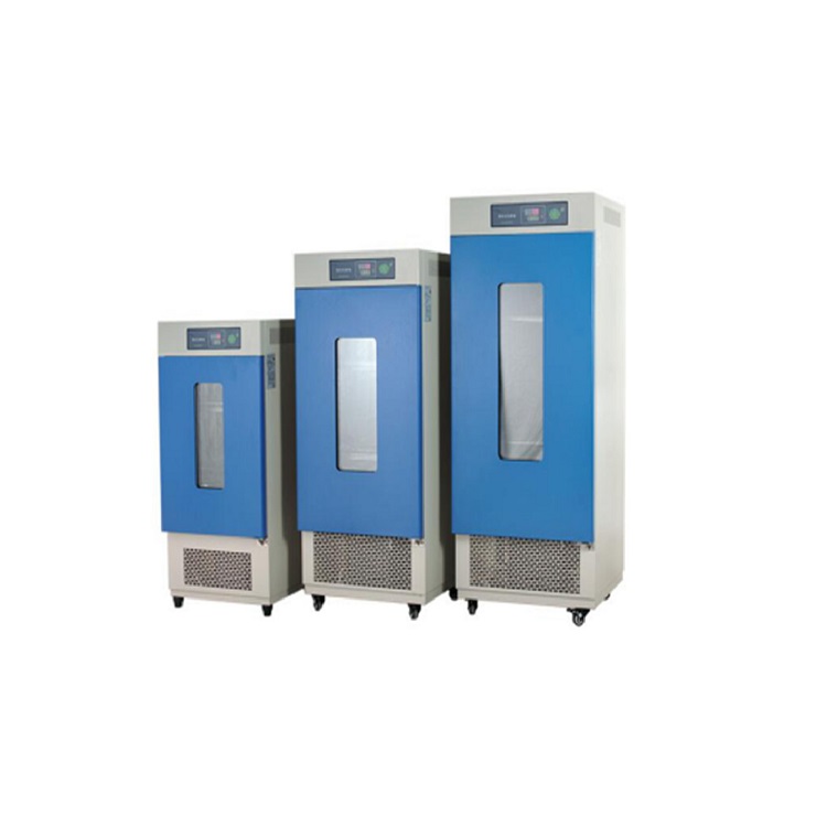 黴菌培養箱